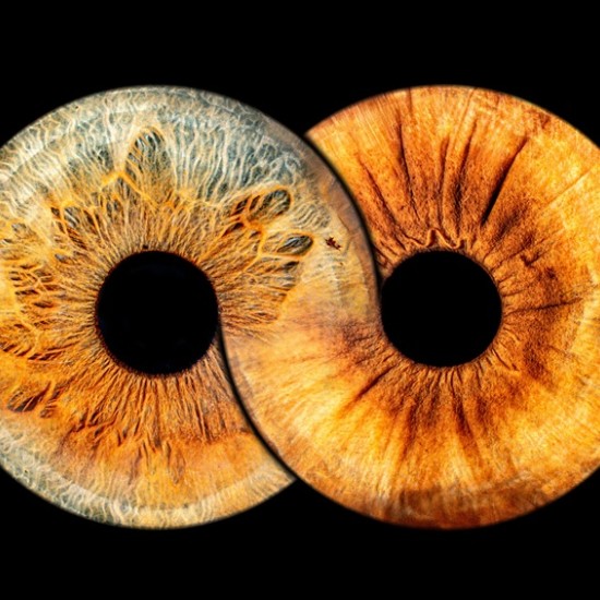 A piece of the soul in a picture with Irisova Photography in Pleven from Makaroon