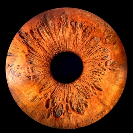 A piece of the soul in a picture with Irisova Photography in Pleven from Makaroon