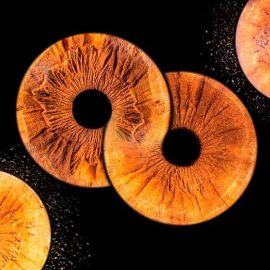 A piece of the soul in a picture with Irisova Photography in Pleven from Makaroon