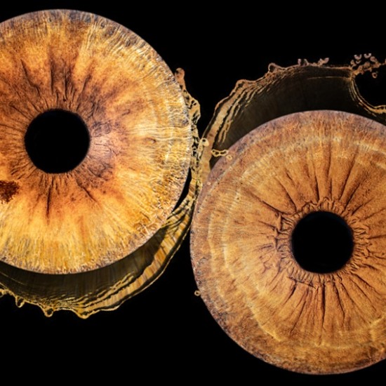 A piece of the soul in a picture with Irisova Photography in Pleven from Makaroon