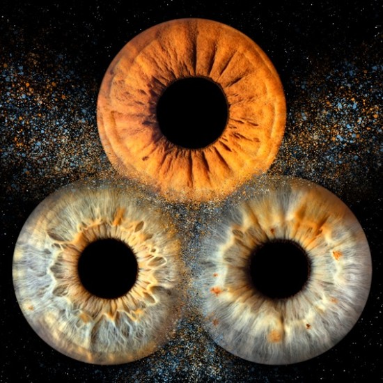 Направете (си) подарък със смисъл с Ирисова фотография в Стара Загора от Makaroon