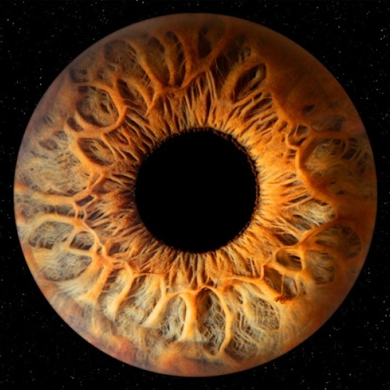 Направете (си) подарък със смисъл с Ирисова фотография в Стара Загора от Makaroon