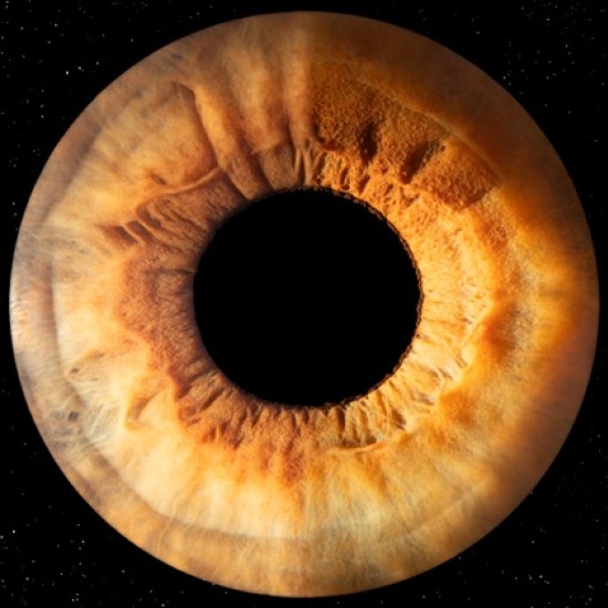 Направете (си) подарък със смисъл с Ирисова фотография в Стара Загора от Makaroon