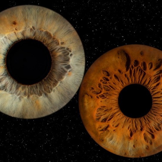 Направете (си) подарък със смисъл с Ирисова фотография в Стара Загора от Makaroon