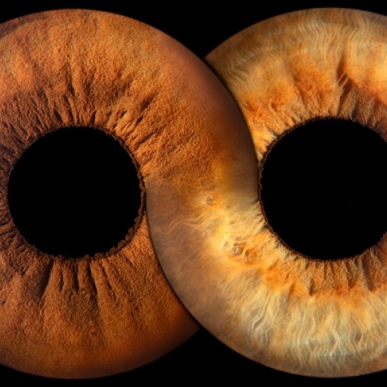 Направете (си) подарък със смисъл с Ирисова фотография в Стара Загора от Makaroon