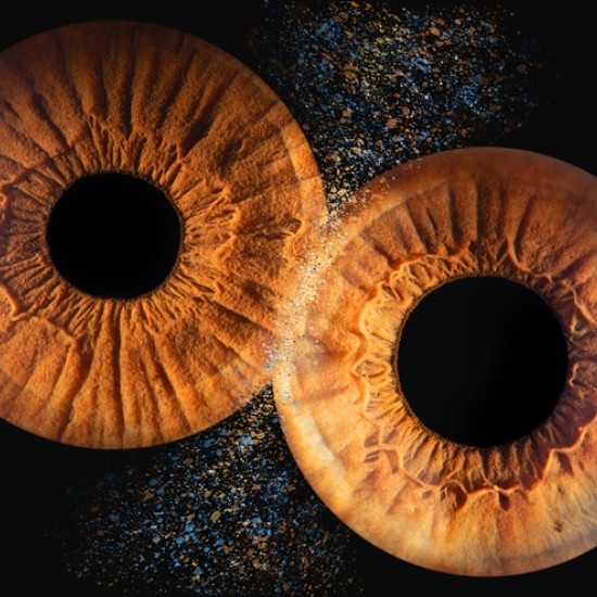 Направете (си) подарък със смисъл с Ирисова фотография в Стара Загора от Makaroon