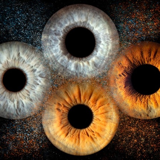 Направете (си) подарък със смисъл с Ирисова фотография в Стара Загора от Makaroon