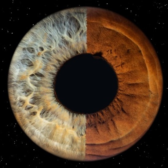 Направете (си) подарък със смисъл с Ирисова фотография в Стара Загора от Makaroon