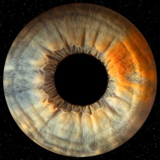 Направете (си) подарък със смисъл с Ирисова фотография в Стара Загора от Makaroon