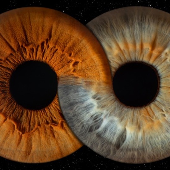 Направете (си) подарък със смисъл с Ирисова фотография в Стара Загора от Makaroon