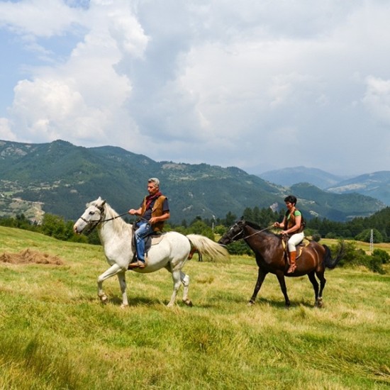 Усетете вкуса на свободата с "Конна езда в красивите поляни на с. Банкя и планина Люлин" от Makaroon Усетете вкуса на свободата с "Конна езда в красивите поляни на с. Банкя и планина Люлин" от Makaroon