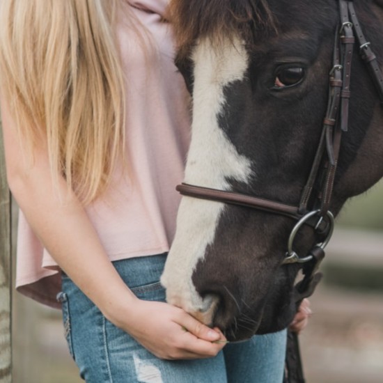 Разходка на кон сред природата около Пловдив от Makaroon