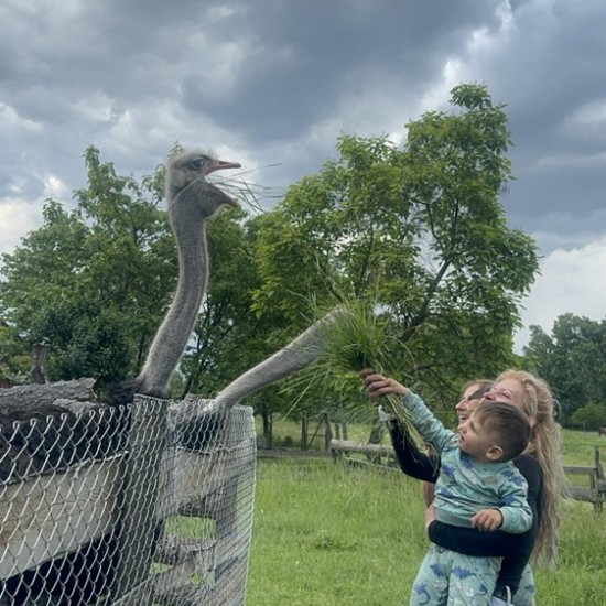 Като в приказка с Разходка с кон за двама сред природата + посещение на ферма ТАРА в района на Пловдив от Makaroon