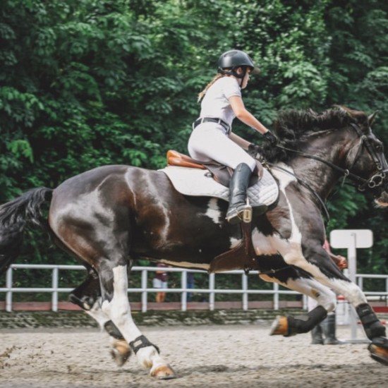 Урок по езда на манеж около Пловдив от Makaroon