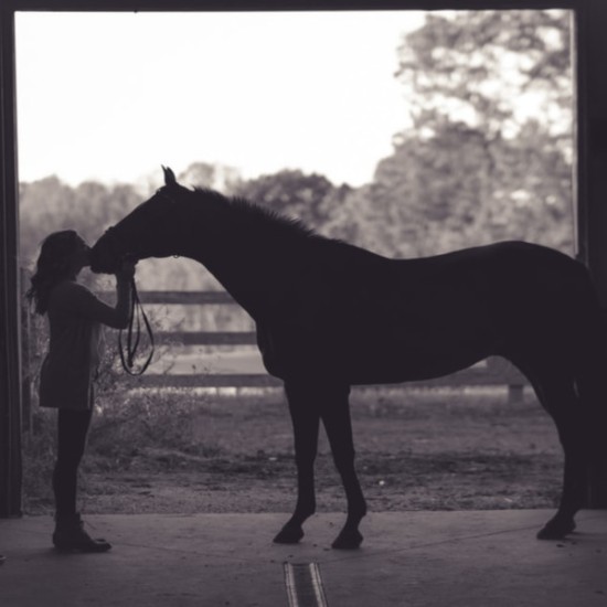 Урок по езда на манеж около Пловдив от Makaroon
