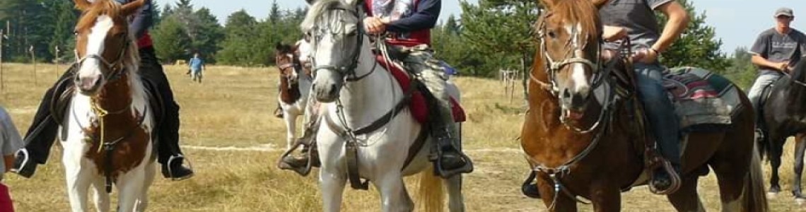 Приключение за всеки вкус: Конен преход, АТВ забавление и пикник край Боровец