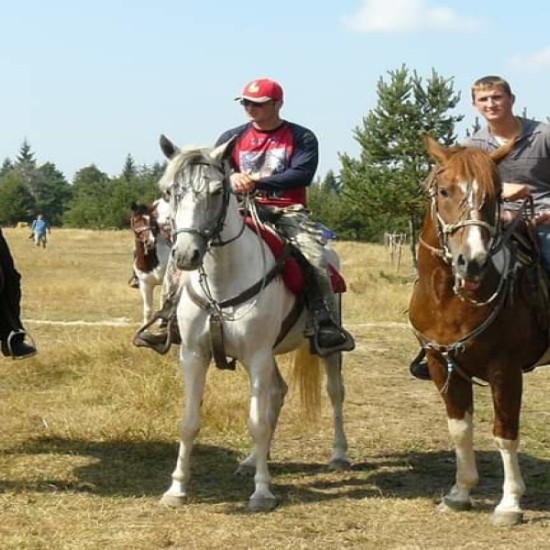 АТВ, конна езда и пикник край Боровец от Макароон АТВ, конна езда и пикник край Боровец от Макароон