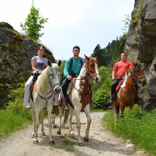 Разходка с кон – в такт с природата на Боровец от Макароон