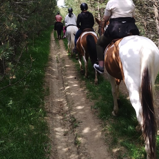 Романтична разходка с кон и обяд сред дивата природа на Боровец от Makaroon