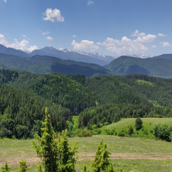 Романтична разходка с кон и обяд сред дивата природа на Боровец от Makaroon