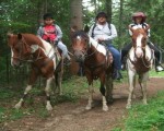 Романтична разходка с кон и обяд сред дивата природа на Боровец от Makaroon