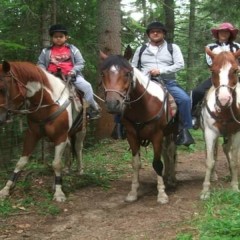 Романтична разходка за двама на кон и обяд сред дивата природа на Боровец