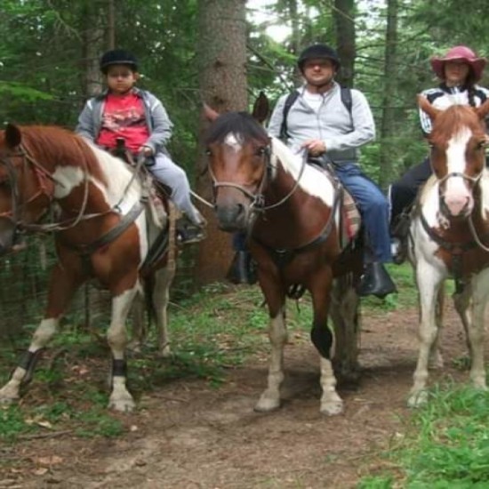 Романтична разходка с кон и обяд сред дивата природа на Боровец от Makaroon