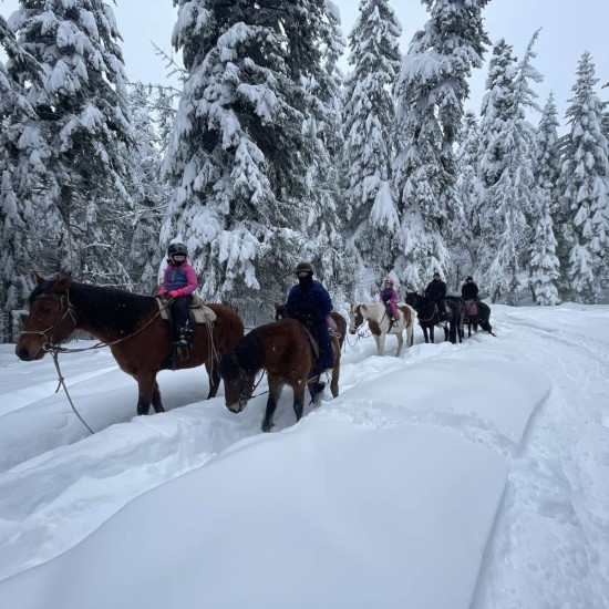 Разходка с кон – в такт с природата на Боровец от Макароон