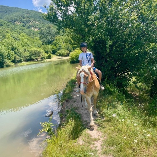 Спокойствие, красота и... коне - насладете се на Конна езда из природата на Стара планина и с. Кърнаре от Makaroon Спокойствие, красота и... коне - насладете се на Конна езда из природата на Стара планина и с. Кърнаре от Makaroon
