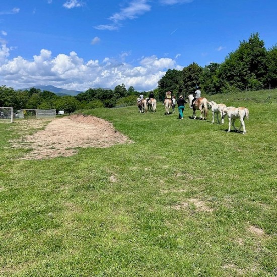 Спокойствие, красота и... коне - насладете се на Конна езда из природата на Стара планина и с. Кърнаре от Makaroon Спокойствие, красота и... коне - насладете се на Конна езда из природата на Стара планина и с. Кърнаре от Makaroon