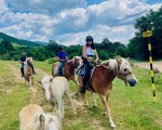Спокойствие, красота и... коне - насладете се на Конна езда из природата на Стара планина и с. Кърнаре от Makaroon Спокойствие, красота и... коне - насладете се на Конна езда из природата на Стара планина и с. Кърнаре от Makaroon