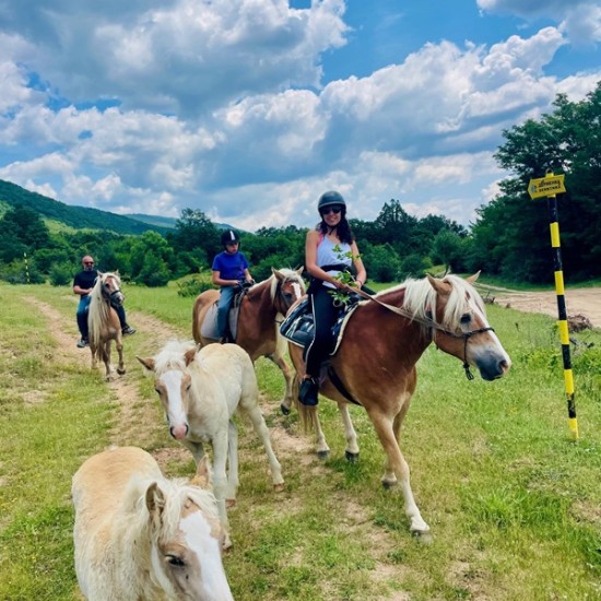 Спокойствие, красота и... коне - насладете се на Конна езда из природата на Стара планина и с. Кърнаре от Makaroon Спокойствие, красота и... коне - насладете се на Конна езда из природата на Стара планина и с. Кърнаре от Makaroon