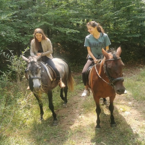 Езда сред природата до София от Макароон