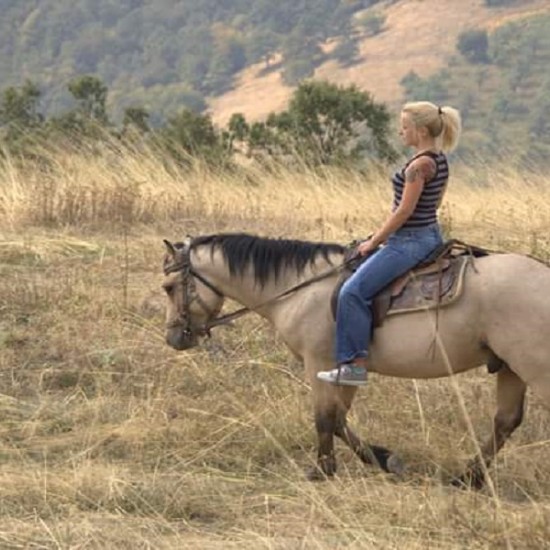 Двучасова конна езда в района на село Кърпачево от Макароон Двучасова конна езда в района на село Кърпачево от Макароон