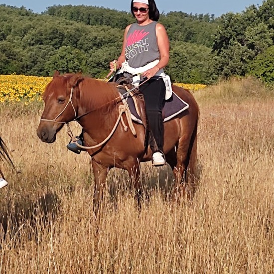 Двучасова конна езда в района на село Кърпачево от Макароон Двучасова конна езда в района на село Кърпачево от Макароон