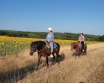 Двучасова конна езда в района на село Кърпачево от Макароон Двучасова конна езда в района на село Кърпачево от Макароон