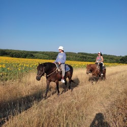 Двучасова конна езда в района на село Кърпачево