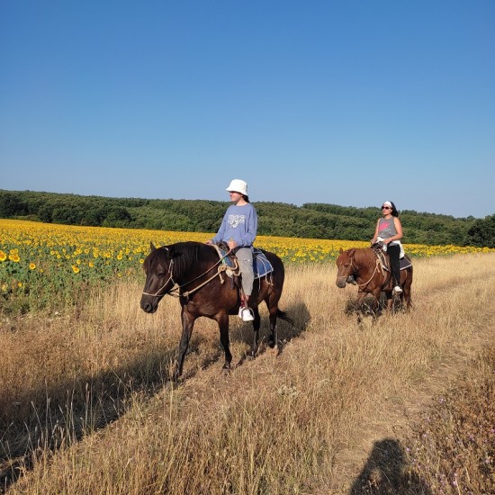 Двучасова конна езда в района на село Кърпачево от Макароон Двучасова конна езда в района на село Кърпачево от Макароон