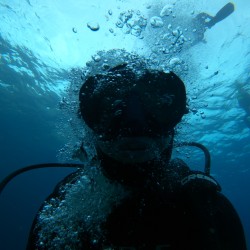 Курс по гмуркане “PADI Open Water Diver” 