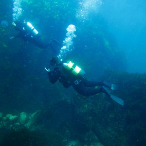 Навлезте в света на гмуркането с „PADI Discover Scuba Diving в море“ в района на гр. Поморие