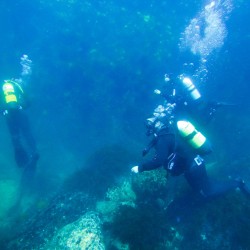 Навлезте в света на гмуркането с „PADI Discover Scuba Diving в море“ в района на гр. Поморие