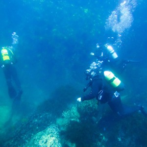 Навлезте в света на гмуркането с „PADI Discover Scuba Diving в море“ в района на гр. Поморие