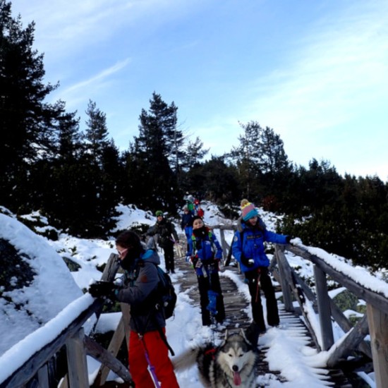 Оригинален подарък - Канирандо: Планинско приключение с кучета за двама от Makaroon