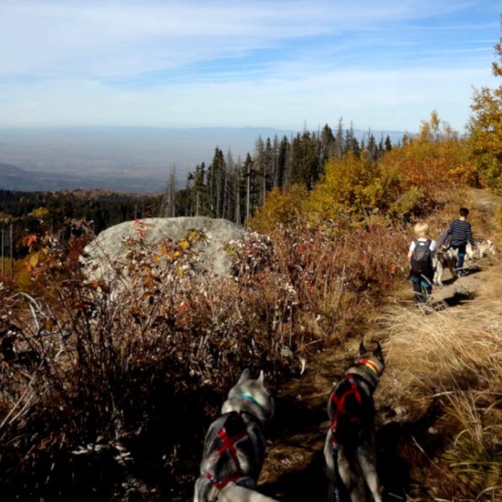Оригинален подарък - Канирандо: Планинско приключение с кучета за двама от Makaroon