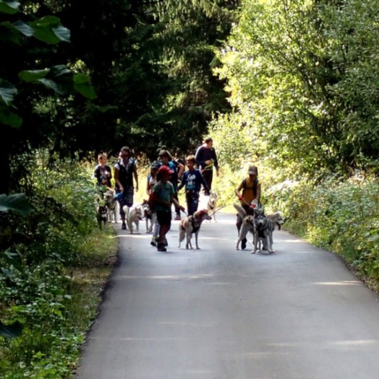 Оригинален подарък - Канирандо: Планинско приключение с кучета за двама от Makaroon