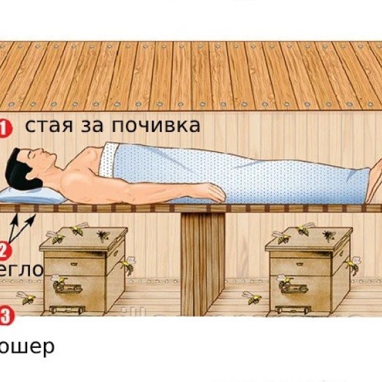 Влезте в дома на пчелите с "Пчелна стая" от Makaroon Влезте в дома на пчелите с "Пчелна стая" от Makaroon