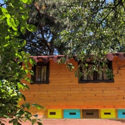 Станете част от кошера с „Пчелна стая“ 