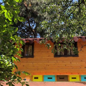 Станете част от кошера с „Пчелна стая“ 