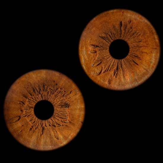 Превърнете вашите очи в уникална картина с ирисова фотография в Пловдив от Макароон