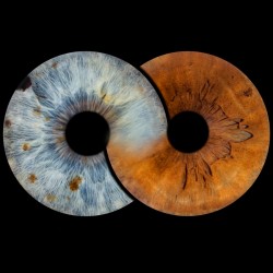 Превърнете вашите очи в уникална картина с ирисова фотография в София